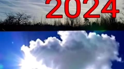 Rothschild BlackRock WEF Power...