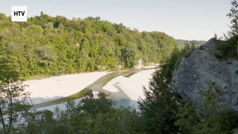 Inside the Mind of a Predator