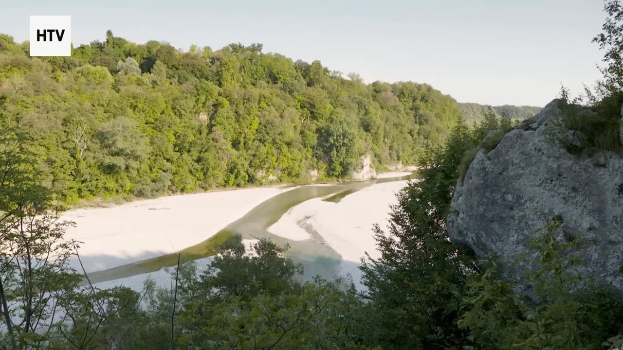 Inside the Mind of a Predator