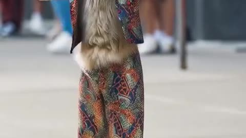 Lions dressed like human dancing in public