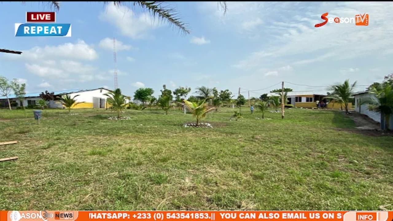 |Live Service| My PHD service |