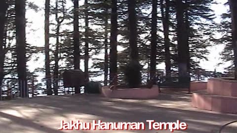 Jakhu Temple Shimla | A Spiritual Trek to the Abode of Lord Hanuman