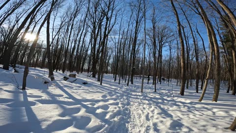 ❄️2025☃️02-28🎿 Winter -22 Edition Hiking Beaver Trails Part 1 In Ottawa 🦫 Ontario🍁Canada 🦧