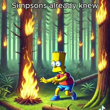 ⁉️The Simpsons Did It..Again? Wildfires Across Various Regions 🔥