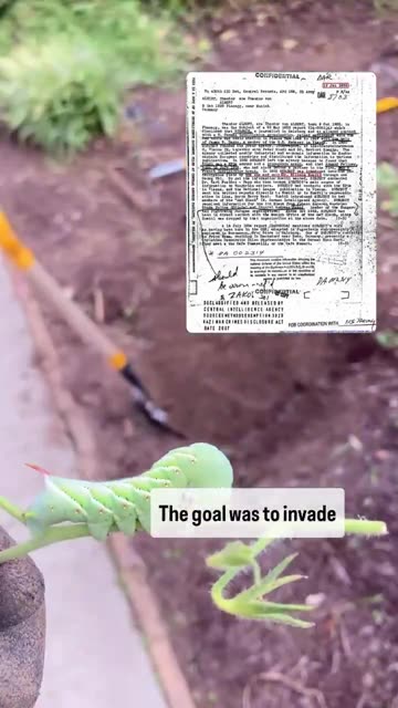 In the 1950s the CIA genetically engineered the horned tomato worm