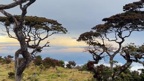 the beauty of Mount Bawakaraeng from Indonesia