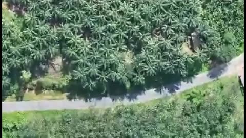 💥⚔️ Myanmar War | Intense Rebel Ambushes in Tanintharyi Region | RCF