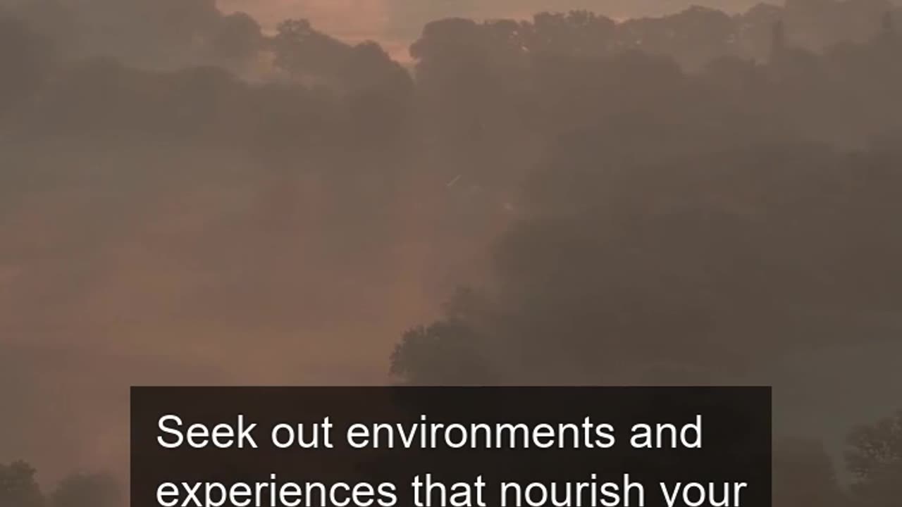 Daily Horoscope | Taurus 🌟