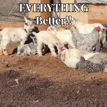 Sunshine Makes EVERYTHING Better!!