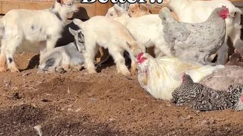 Sunshine Makes EVERYTHING Better!!