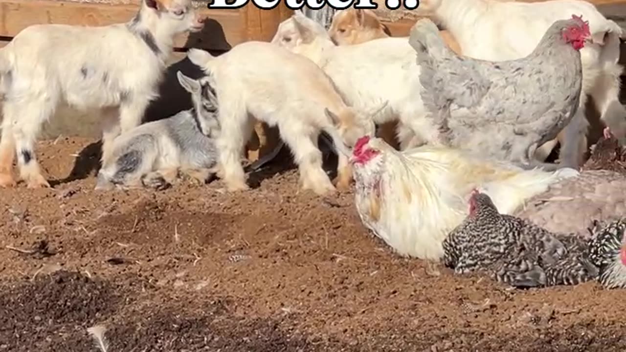 Sunshine Makes EVERYTHING Better!!