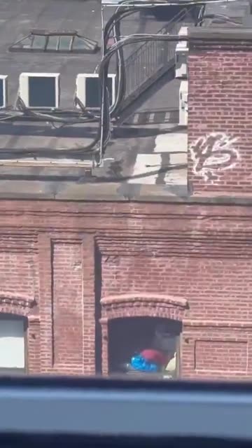 You never know what you’ll find on a rooftop