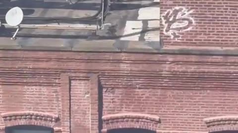 You never know what you’ll find on a rooftop