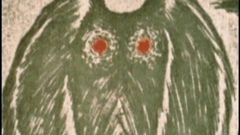 Search for the Mothman