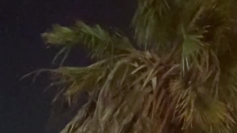 👽🔭 Unidentified Object Spotted Over Mexico! | TheTruthAbove