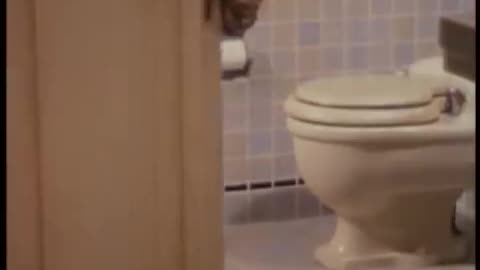 Don't Forget To Poop
