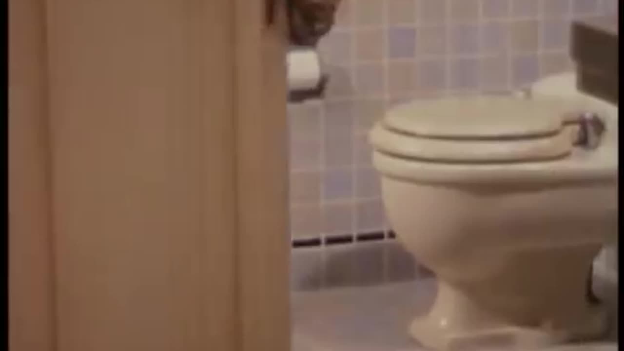 Don't Forget To Poop