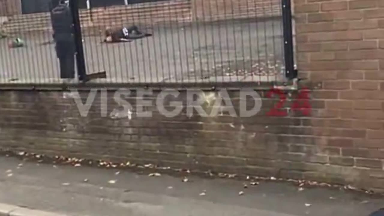 This was the moment a police officer shot the terrorist who stabbed a group of Jews