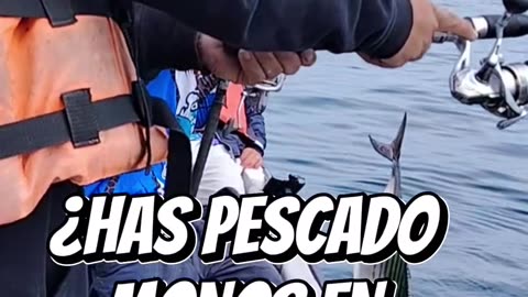 ¿alguna vez tuviste un día de pesca tan bueno???