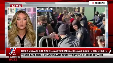 Tricia McLaughlin: NYC Releasing Criminal Illegals Back to the Streets