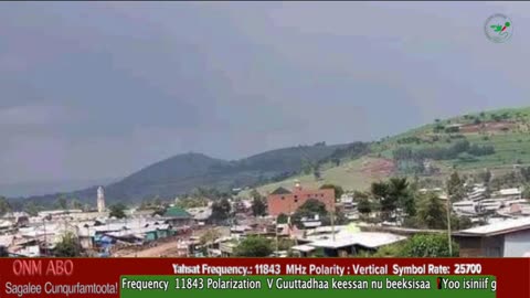 Oduu Galgala ONM-ABO Amajjii 22-2025 itti dhjiyaadhaa!