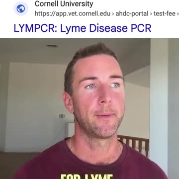 Lyme Solutions