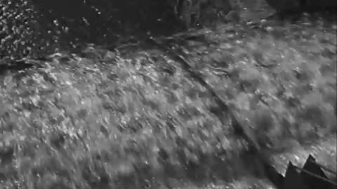 Farm Scenes Hayden Mills Farm Scenes - Farm Scenes Hayden Mills Farm Scenes - fc-fc-2538