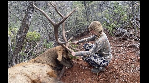 Full Movie: Persistence Leads to 1st Bull Elk