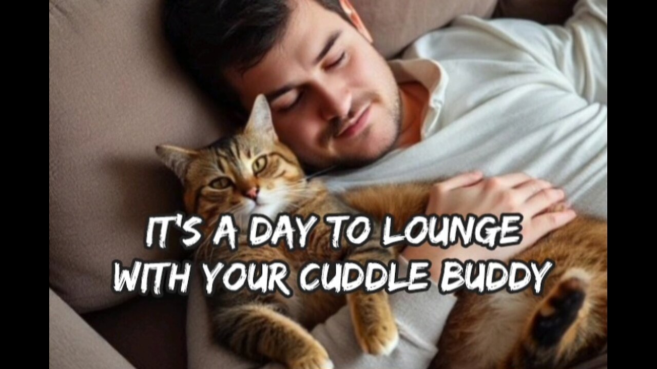 Get your cuddle buddy, it's one of those days