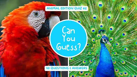 Animal Trivia Challenge: Can You Score 100%?
