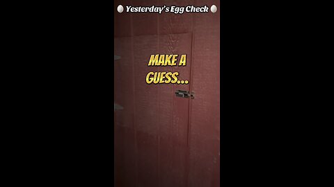 🥚 Yesterday’s Egg Check! 🥚