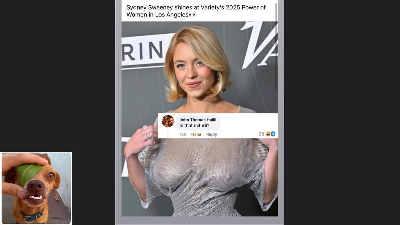 Memes That Will 99.0441% Make You Laugh. (e665)