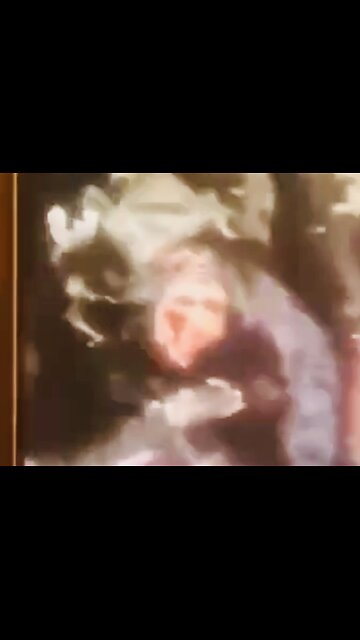 🇸🇾 🔥 Syria on Fire: Joulani achieved the first major victory against the Kurds