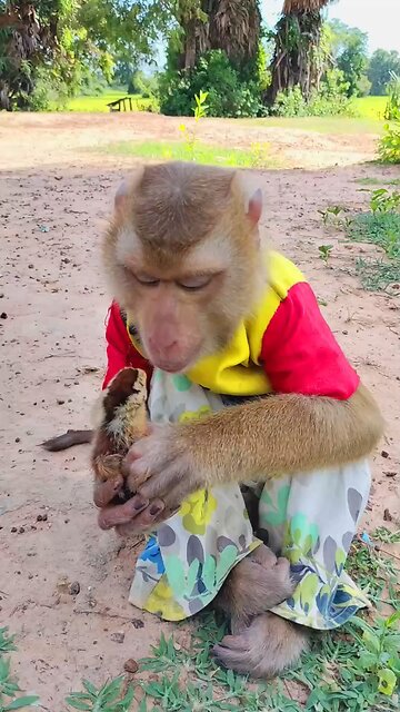 Well Best SokYaa, OG, Pao & Mom Are Famous Around The World #shorts #anime #trend #edit