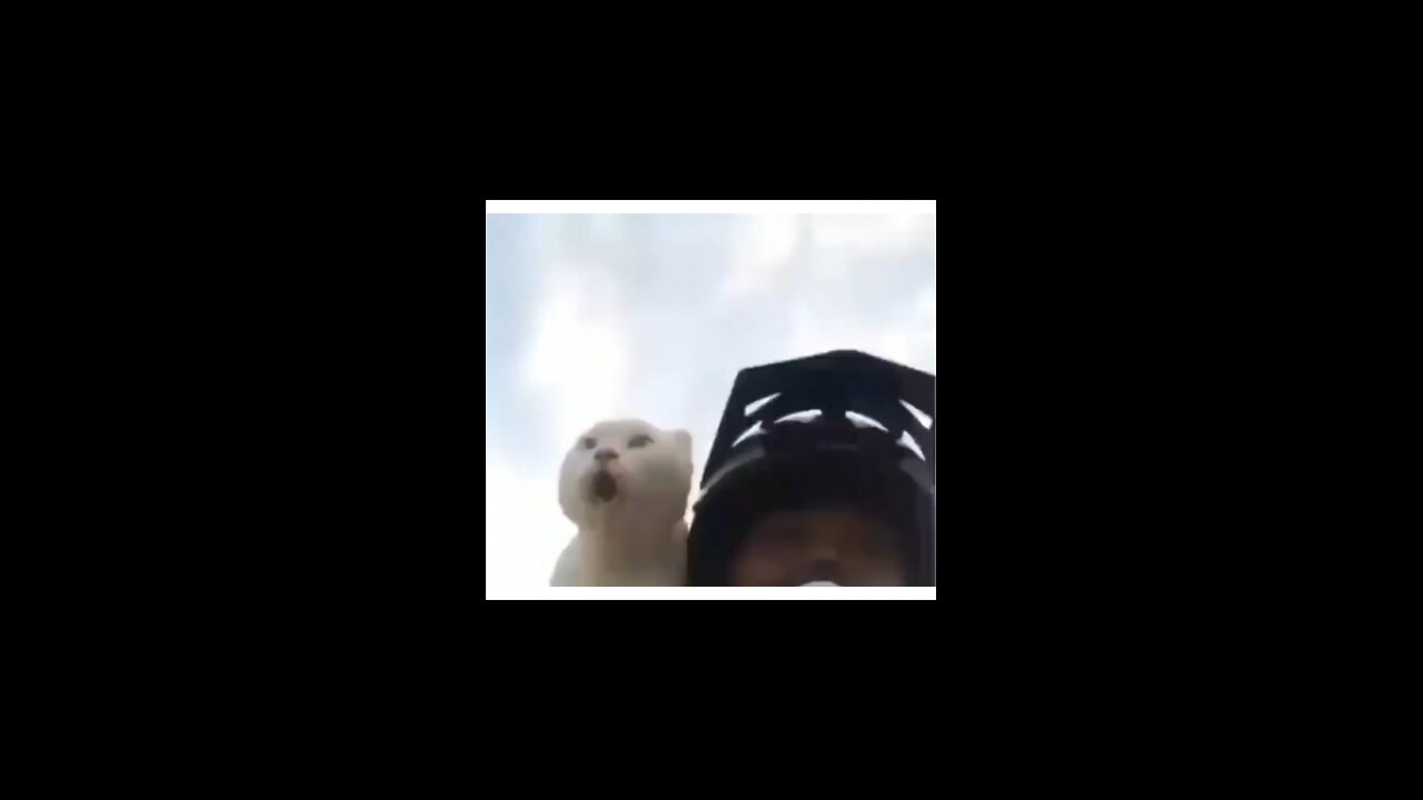 ))