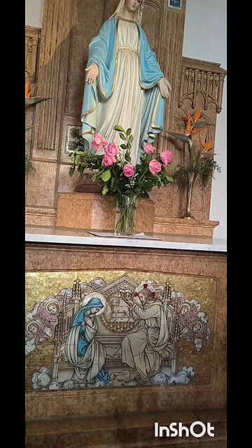 SOLEMNITY OF THE IMMACULATE CONCEPTION OF THE, BLESSED VIRGIN MARY, MOTHER MOST HOLY PRAY FOR US 🙏