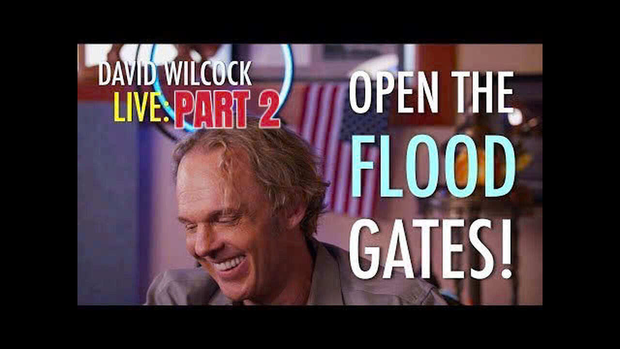 DAVID WILCOCK UPDATE 02.03.2025 : Open the Flood Gates! ( PART 2)