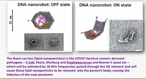 THE MEDICAL DETAIL: HOW THE NANOTECHNOLOGY IN THE COVID VACCINES WILL CAUSE THE NEXT 2025 PANDEMIC
