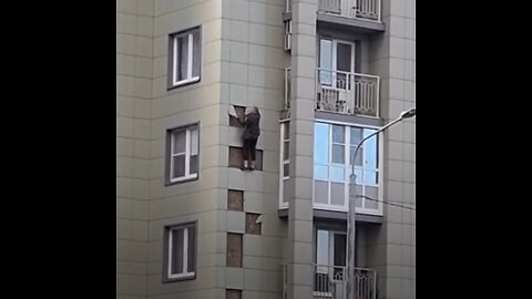 Hombre trepa por las paredes para pedir disculpas a su pareja