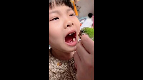 "Tiny Parrot Pulls Loose Tooth of a Girl"