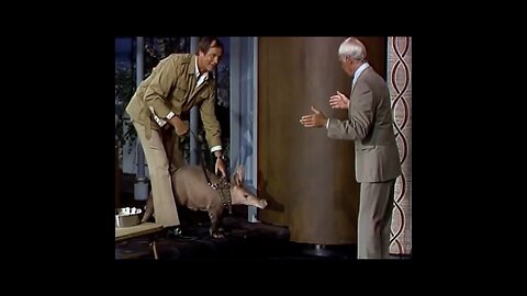 AArdvark gives Johnny Carson a present (wait for it!) #johnnycarson #tonightshow