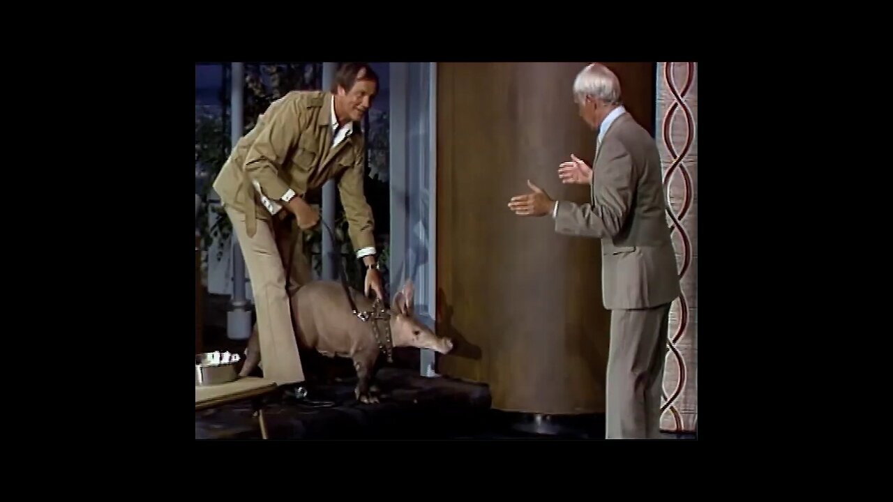 AArdvark gives Johnny Carson a present (wait for it!) #johnnycarson #tonightshow