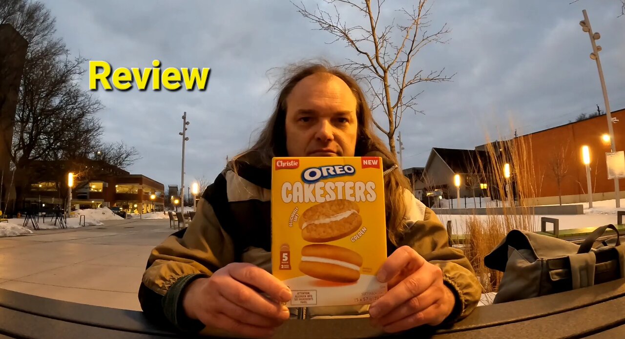 Christie's Oreo Cakesters Soft Snack Cakes Golden Review