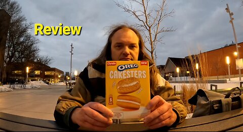 Christie's Oreo Cakesters Soft Snack Cakes Golden Review