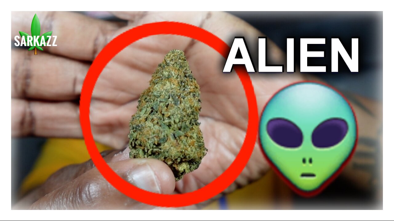 JK Distro Alien Hallucination 👽: Have You Seeing Stars & Green Men