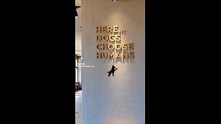 Love All Life Always #391 - So Cool. Dogs Choosing Their New Owners. Let The Love Flow Freely! 💖💖