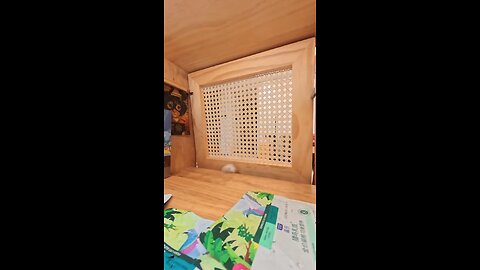 Đạo chích mèo cats