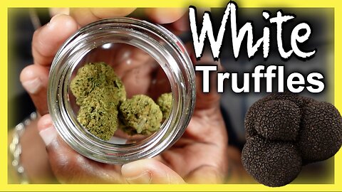 JK Distro’s White Truffles 🍄🔥 – Earthy, Potent, and Smooth! Is This the Ultimate Chill Strain?