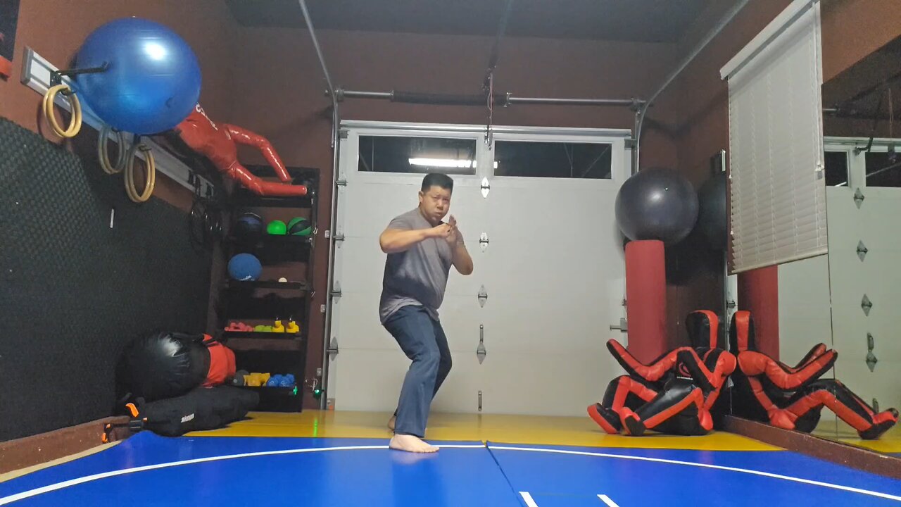 WTD 2 Step Kick Combination 191