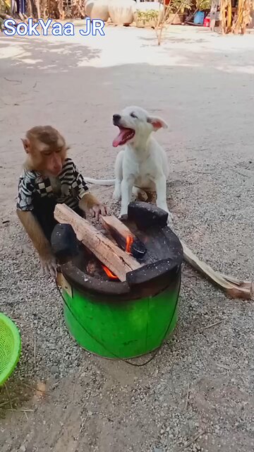 Perfect video SokYaa, OG, Pao & Mom Are Famous Around The World #shorts #anime #trend #edit